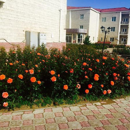 Hotel Ark Ms Taraz Dış mekan fotoğraf
