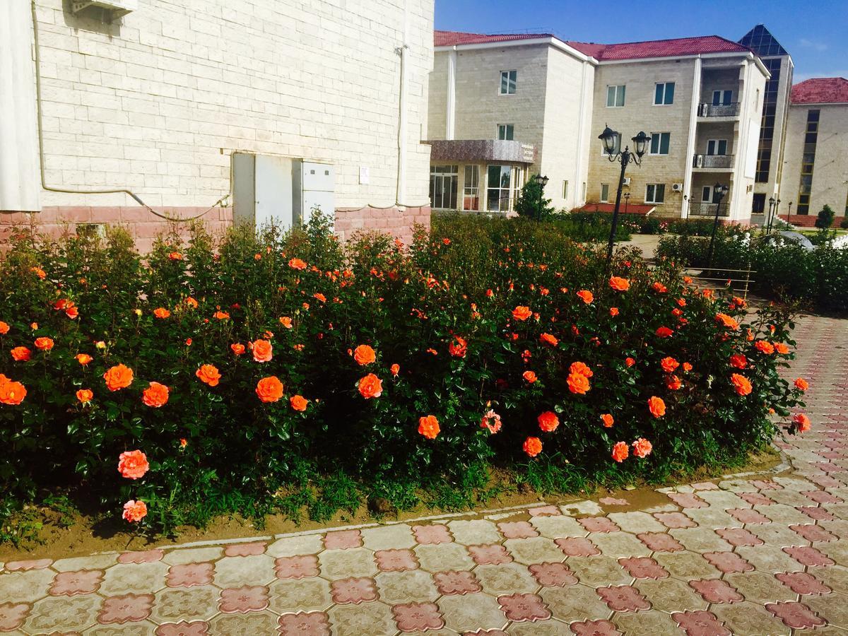 Hotel Ark Ms Taraz Dış mekan fotoğraf