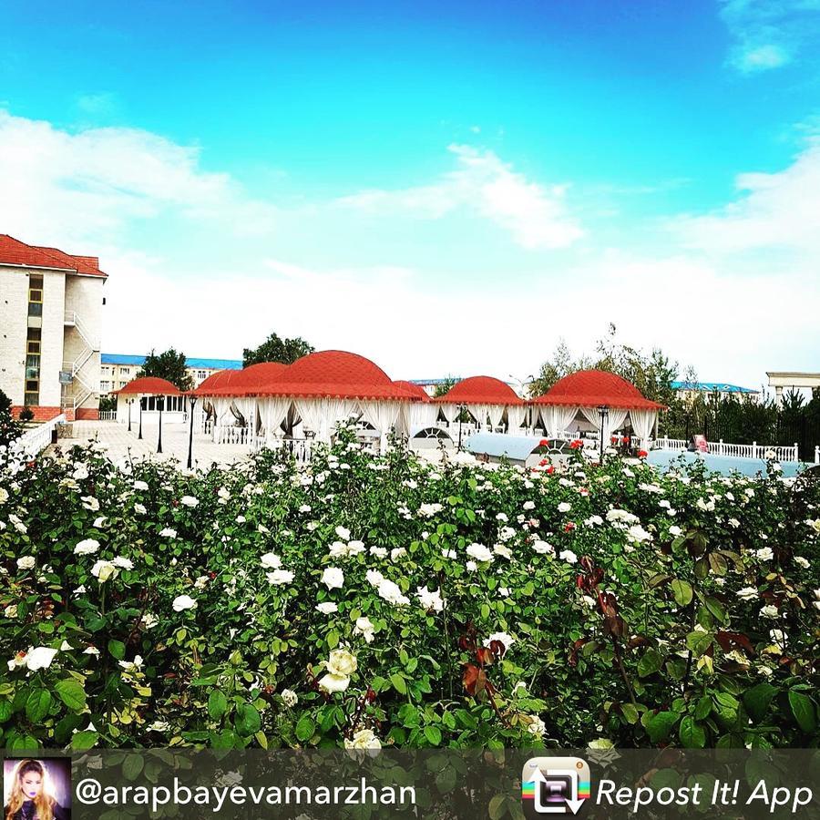Hotel Ark Ms Taraz Dış mekan fotoğraf
